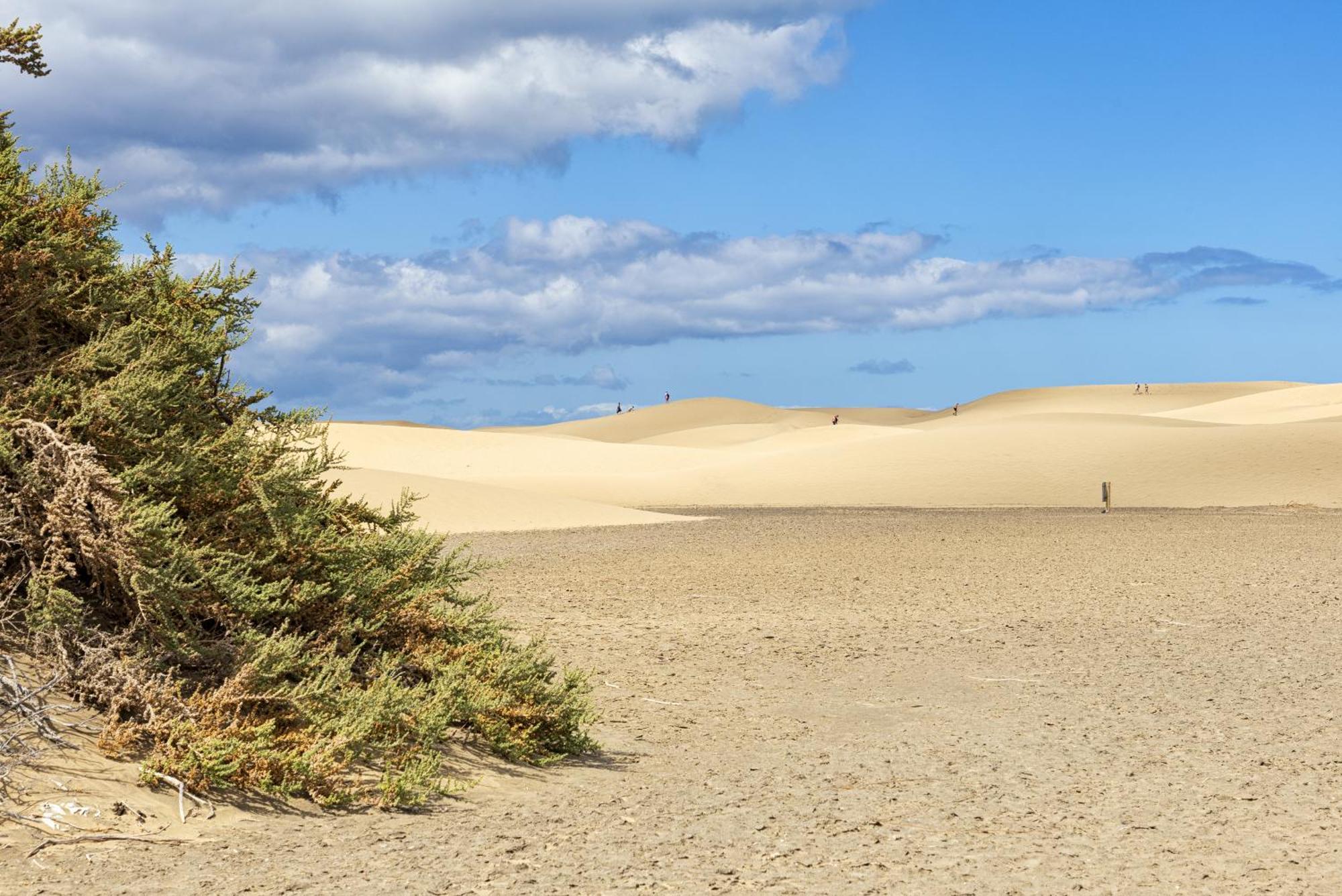 Smartr Maspalomas Corinto Плайя-дель-Інглес Екстер'єр фото